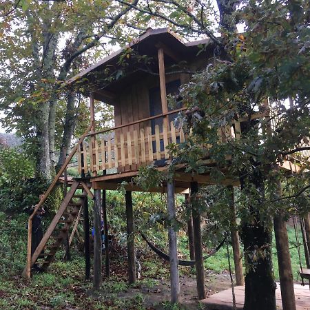 Willa Palheiro Do Vale Do Paiva Cabril  Zewnętrze zdjęcie