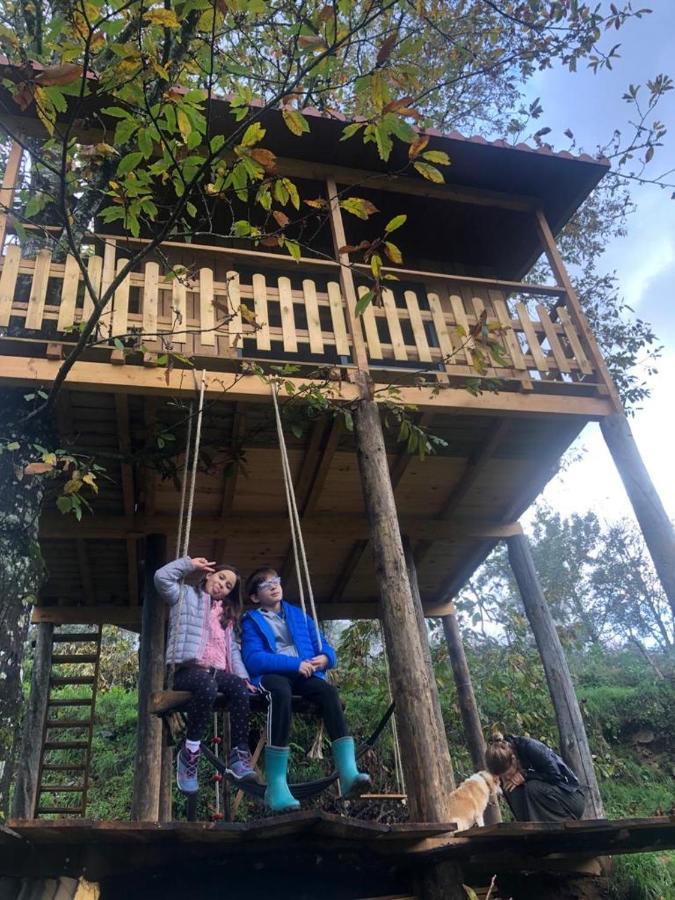 Willa Palheiro Do Vale Do Paiva Cabril  Zewnętrze zdjęcie